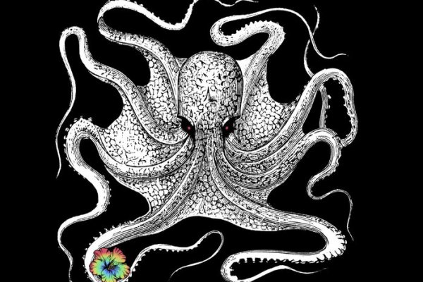 Kra44.at