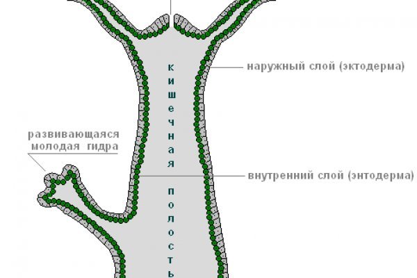 Что с кракеном сайт