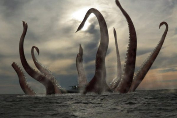 Kraken 13at