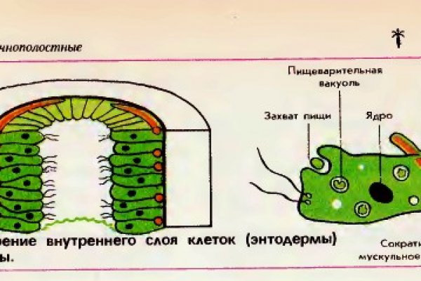 Ссылка на сайт кракен в тор браузере