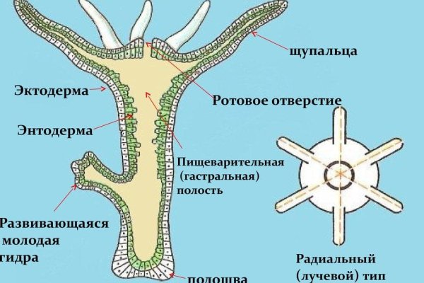 Почему не могу зайти на кракен