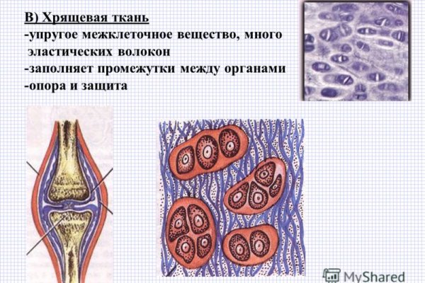 Что такое кракен в интернете