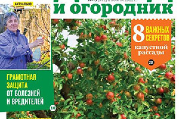 Ссылка на кракен официальный сайт